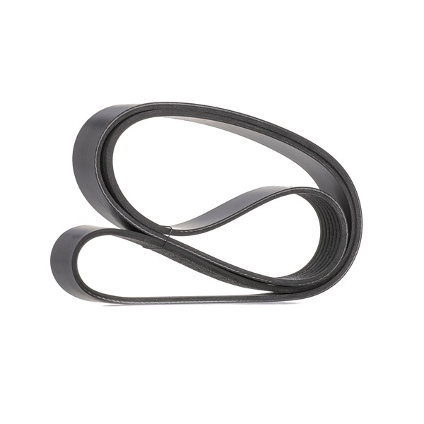 RIDEX 305P0676: Correa trapecial poli V 1580mm, Número de nervaduras: 7