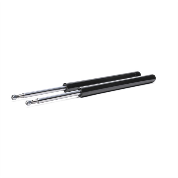 RIDEX 854S19082: Amortizor punte fata, presiune gas, Insertie ansamblu amortizor-arc