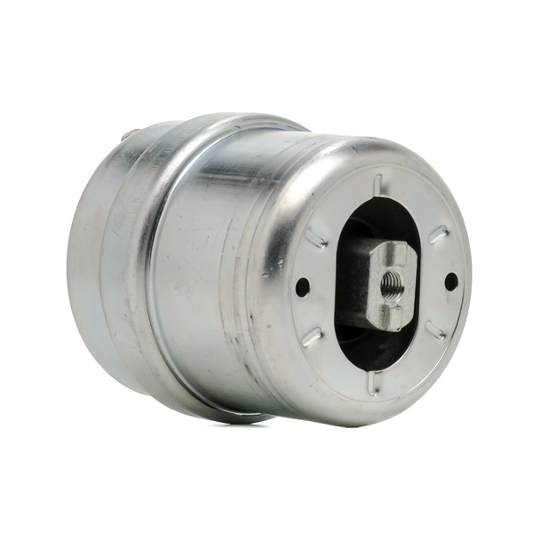 RIDEX 247E1096 Suporte, motor VW TRANSPORTER 4 Bus (70XB, 70XC, 7DB, 7DW) 75 cv Diesel custo
