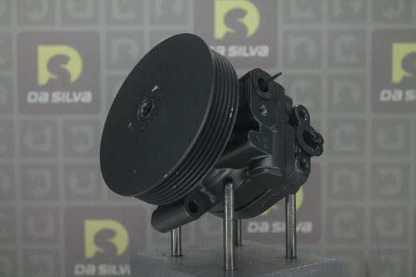 DA SILVA DP4123: Servopumpe