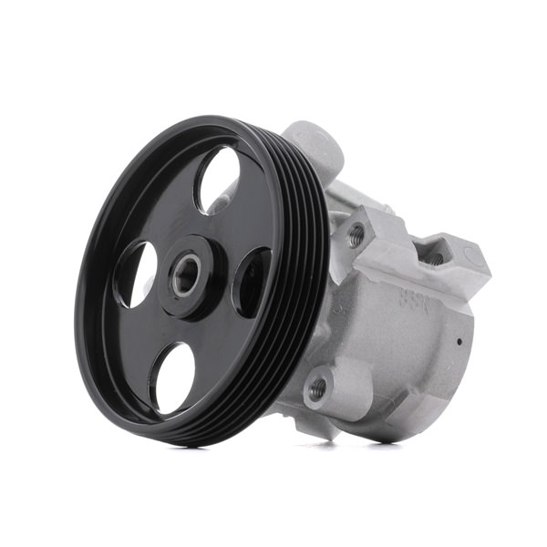 STARK SKHP-0540999: Roolivõimu pump