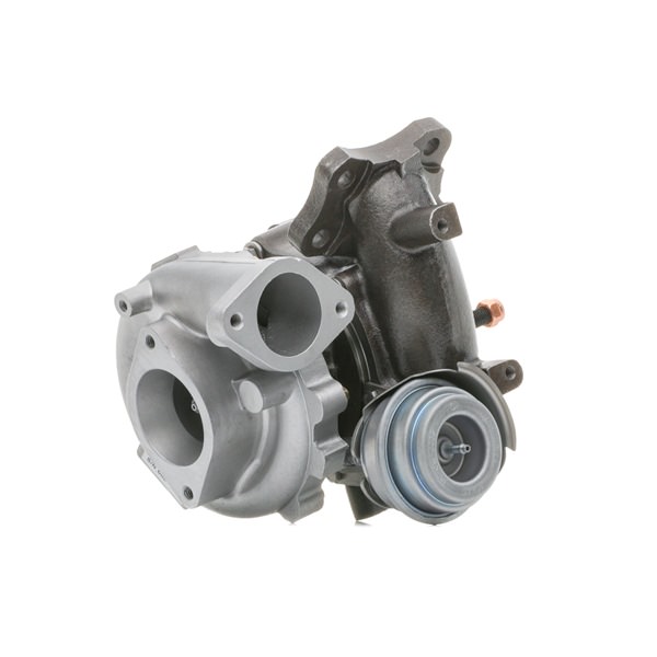 RIDEX REMAN 2234C11455R: Turbolader mit Dichtungen