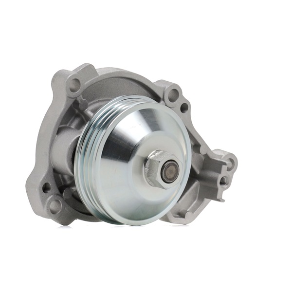 KAMOKA T0296 Ūdenssūknis DS DS 4 II 131 ZS Benzīns cena