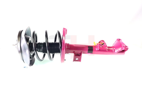 GH GH+353300C04: Jednotka prużenia, Tlmič prużenia Quick-Strut PRO