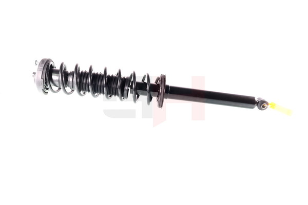 GH GH-333971C01 Veerpoot RENAULT TWINGO 1 (C06) 75 Pk Benzine kosten