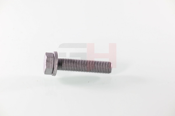 GH GH-391539: Tornillo, muñón del eje