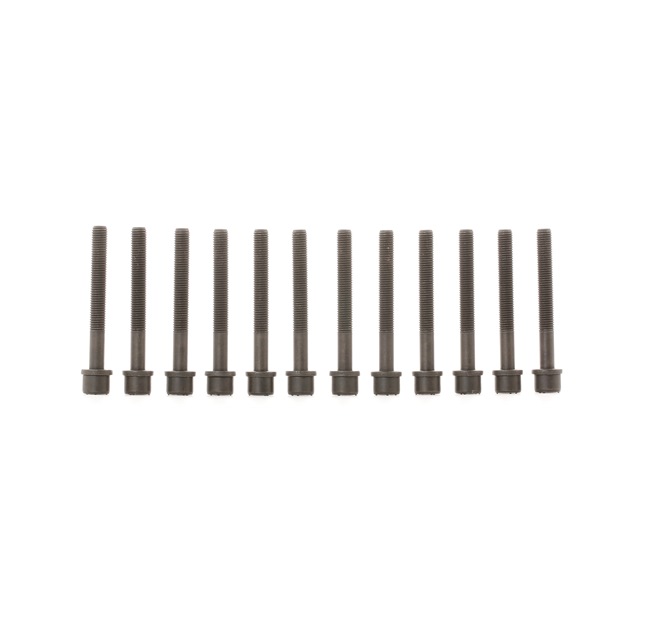 ELRING 819.850: Sada skrutiek hlavy valcov M11x1,5x96