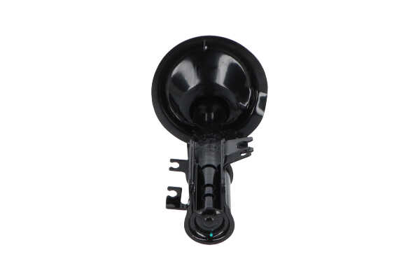 KAVO PARTS SSA-10818: Amortiguador Eje delantero, derecha, Presión de gas, Columna de amortiguador, Amortiguador con muelle de tope