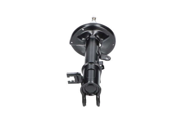KAVO PARTS SSA-11234: Stoßdämpfer Hinterachse rechts, Gasdruck, Federbein