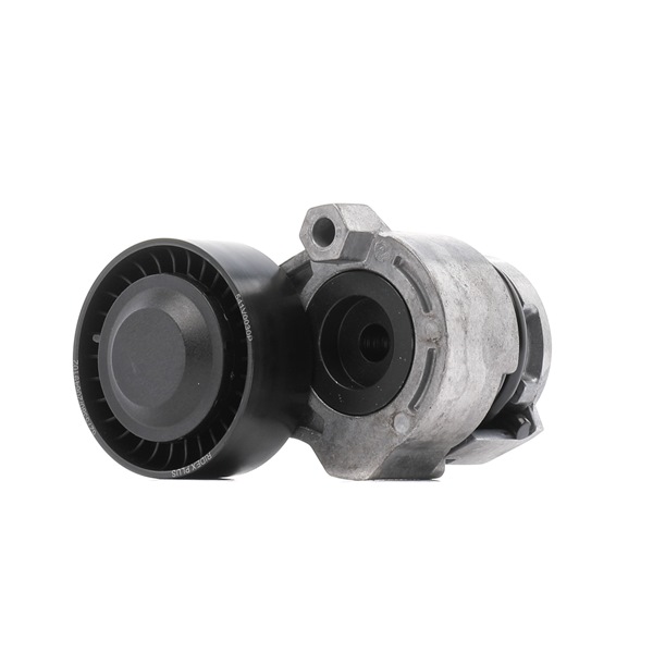 RIDEX PLUS 541V0030P Tenditore cinghia servizi RENAULT MODUS / GRAND MODUS (F/JP0_) 112 CV Benzina costo