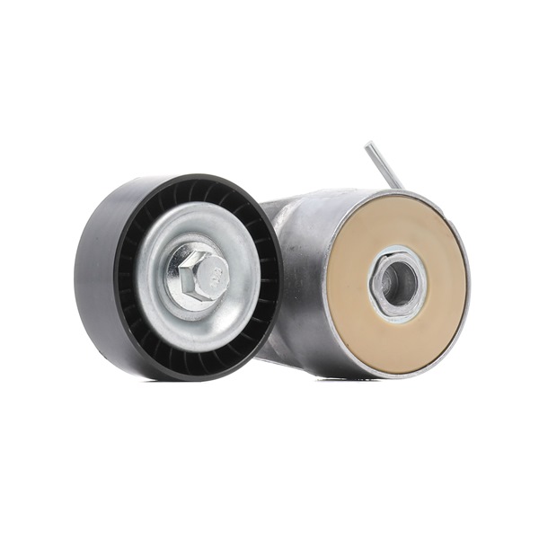 RIDEX PLUS 310T0045P Rullo tenditore cinghia Poly-V ABARTH 500C / 595C / 695C (312_) Cabrio 140 CV Benzina costo