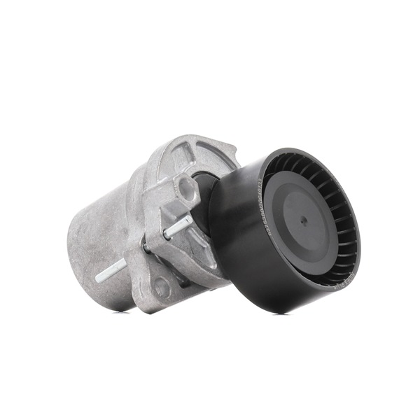 RIDEX PLUS 310T0302P Napínacia kladka rebrovaného klinového remeňa RENAULT Fluence (L3_) 130 KS nafta cena
