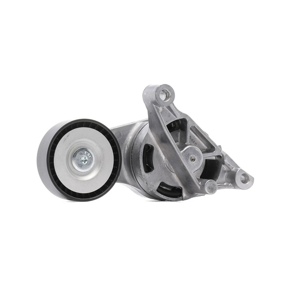 RIDEX PLUS 540T0017P Braccio tenditore, Cinghia Poly-V VOLKSWAGEN Passat Variant (3C5) 163 CV Diesel costo