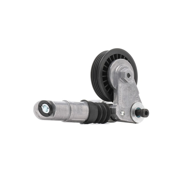 RIDEX PLUS 541V0024P Szíjfeszítő, hosszbordás szíj VOLKSWAGEN PASSAT (3B3) 130 LE Dízel ár