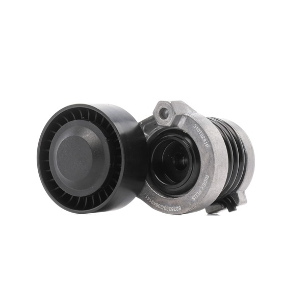 RIDEX PLUS 310T0291P Spanrol, poly V-riem RENAULT SCENIC 3 (JZ0/1) 95 Pk Diesel kosten