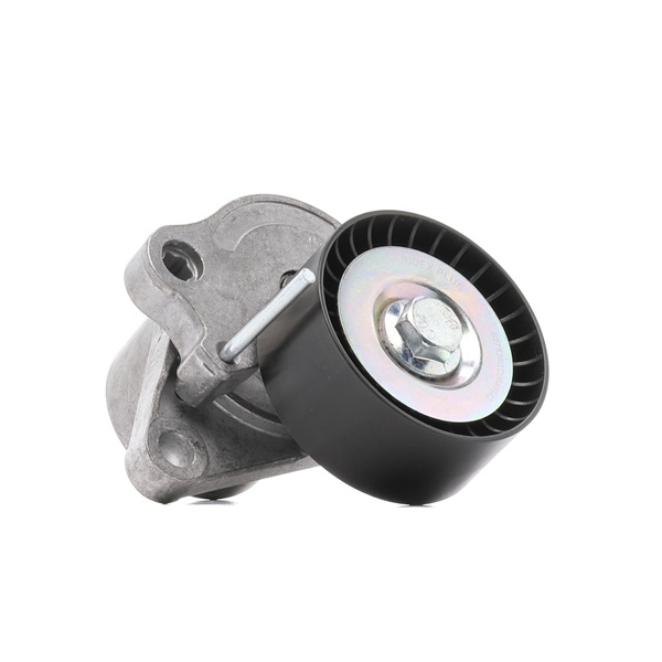 RIDEX PLUS 310T0070P Spanrol, poly V-riem RENAULT MASTER 3 Bus (JV) 136 Pk Diesel kosten