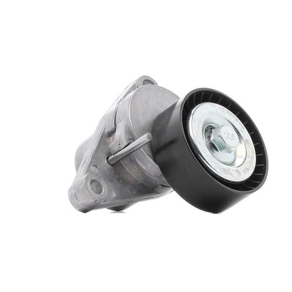 RIDEX PLUS 310T0047P Napínacia kladka rebrovaného klinového remeňa PEUGEOT 307 (3A/C) 113 KS Benzin/Etanol cena
