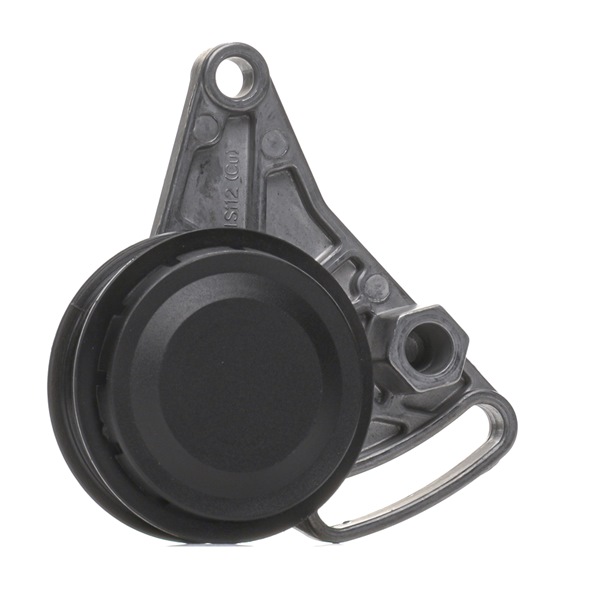 RIDEX PLUS 310T0002P Spanrol, poly V-riem VOLKSWAGEN PASSAT Variant (3B6) 170 Pk Benzine kosten