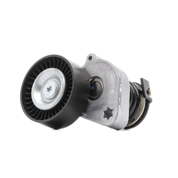 RIDEX PLUS 541V0033P Τεντωτήρας ιμάντα, ιμάντας poly-V MERCEDES-BENZ C-class T-modell (S203) 170 PS Βενζίνη κόστος