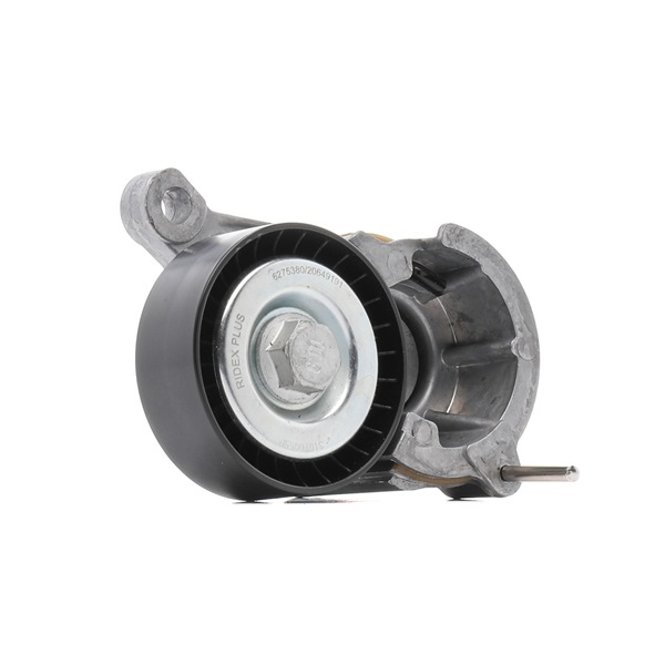 RIDEX PLUS 310T0055P Napínacia kladka rebrovaného klinového remeňa PEUGEOT 307 (3A/C) 151 KS Benzin/Etanol cena