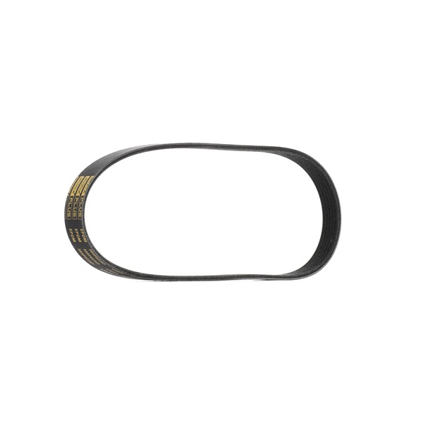 RIDEX PLUS 305P0236P Cinghia servizi FORD Focus 2 Kombi (DA_, FFS, DS) 100 CV Diesel costo