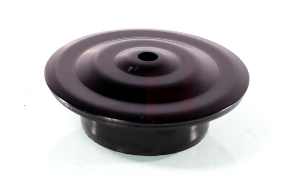 GH GH-369995: Saiba arc puntea spate, deasupra