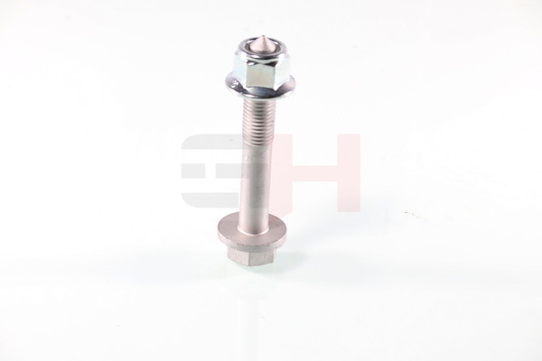GH GH-394710: Schroef, aseind
