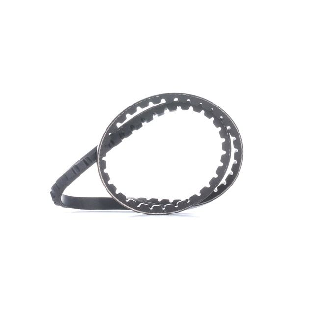 SKF VKMV 10AVx710: Curea transmisie 710mm