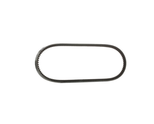 SKF VKMV 10AVx800: Curea transmisie 800mm