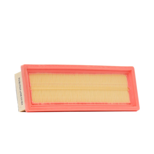 RIDEX PLUS 8A0047P Luftfilter mit Vorfilter