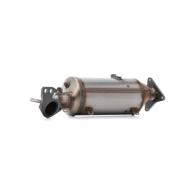 RIDEX 1256S0520: Filtru de particule
