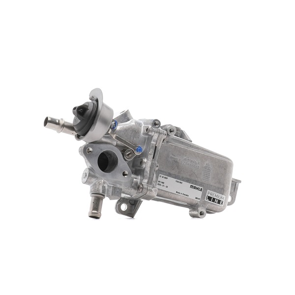 MAHLE ORIGINAL CE 49 000P AGR Kühler FIAT TALENTO Bus (296_) 121 PS Diesel Kosten