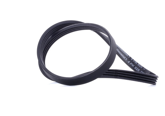 CONTITECH 4PK925: Courroie Poly-V 925mm, Nombre de gorges: 4