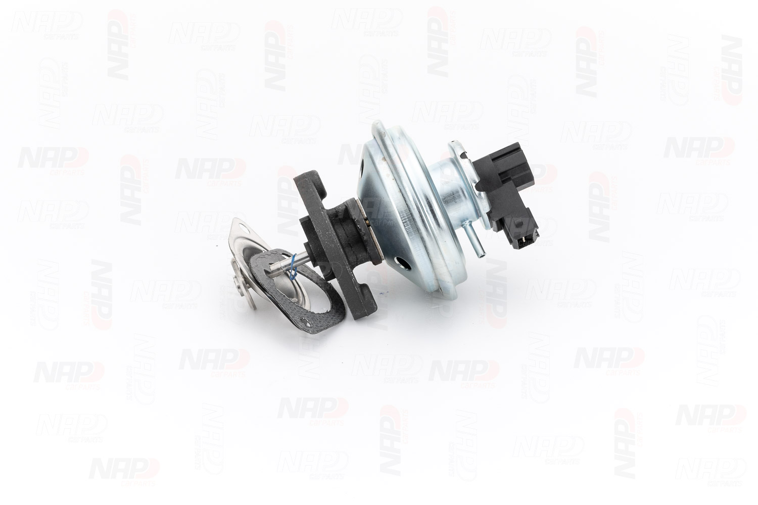 NAP carparts CAV10059: AGR-Ventil