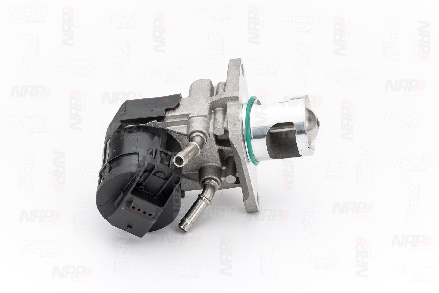 NAP carparts CAV10123: AGR-Ventil