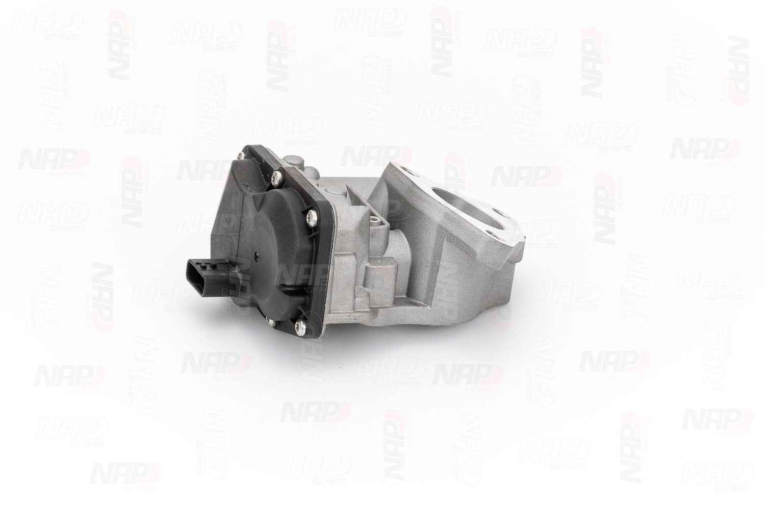 NAP carparts CAV10179: AGR-Ventil