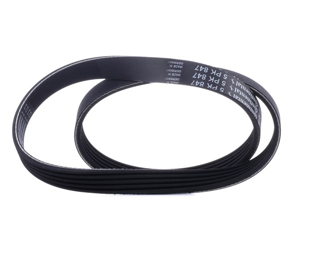 CONTITECH 5PK847 Multiriem RENAULT 11 (B/C37_) 73 Pk Benzine kosten
