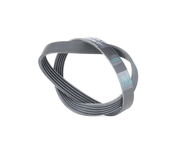 CONTITECH 5PK880: Courroie Poly-V 880mm, Nombre de gorges: 5