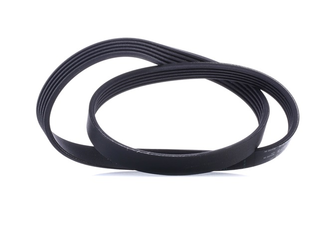 CONTITECH 5PK975: Curea transmisie cu caneluri 975mm, Numar nervuri: 5