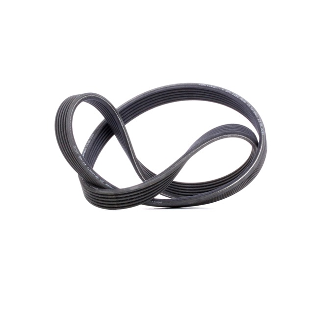 CONTITECH 6DPK1215: Courroie Poly-V 1215mm, Nombre de gorges: 6