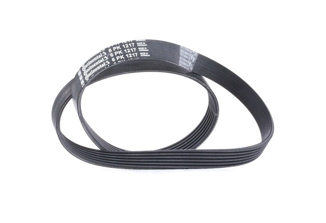 CONTITECH 6PK1217: Cinghia servizi 1217mm, N° di nervature: 6
