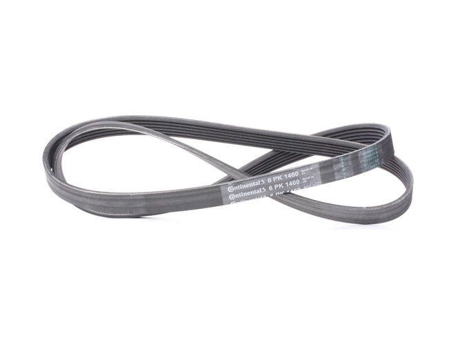 CONTITECH 6PK1460: Multireim 1460mm, Ribbeantall: 6