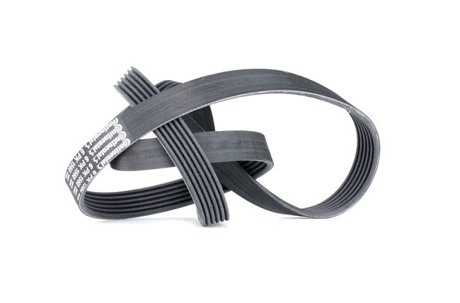 CONTITECH 6PK1560: Curea transmisie cu caneluri 1560mm, Numar nervuri: 6