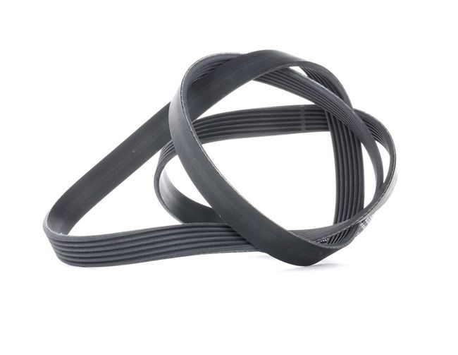 CONTITECH 6PK1564: V formos rumbuoti diržai 1564mm, briaunų skaičius: 6