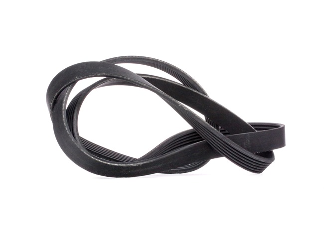 CONTITECH 6PK1750: Multiriem 1750mm, Ribbenaantal: 6