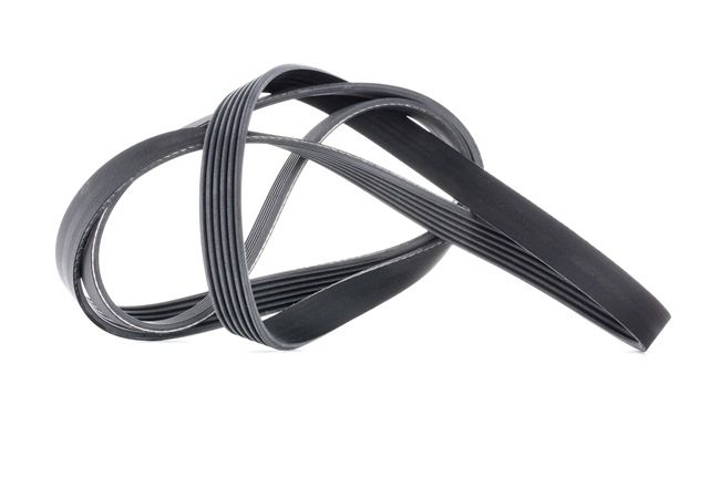 CONTITECH 6PK1856: Curea transmisie cu caneluri 1856mm, Numar nervuri: 6