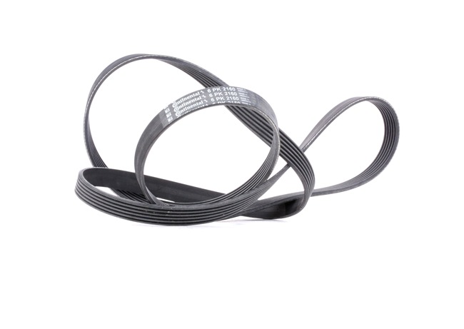 CONTITECH 6PK2160: Correa trapecial poli V 2160mm, Número de nervaduras: 6