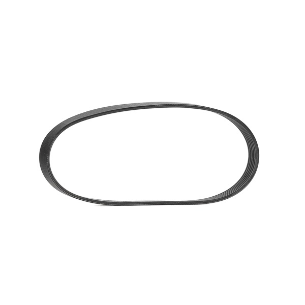 CONTITECH 6PK737: Cinghia servizi 737mm, N° di nervature: 6