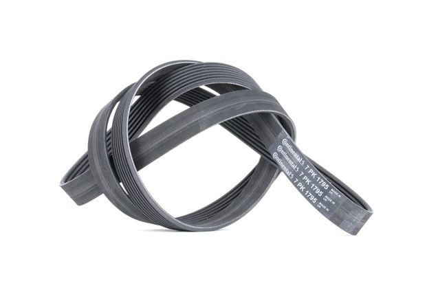 CONTITECH 7PK1795: Curea transmisie cu caneluri 1795mm, Numar nervuri: 7