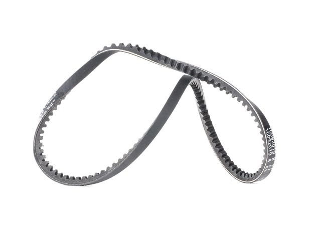 CONTITECH AVX10X735: Cinghia trapezoidale 735mm